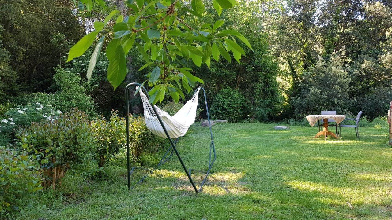 Beautiful Studio Surrounded By Nature Lanet Exterior foto
